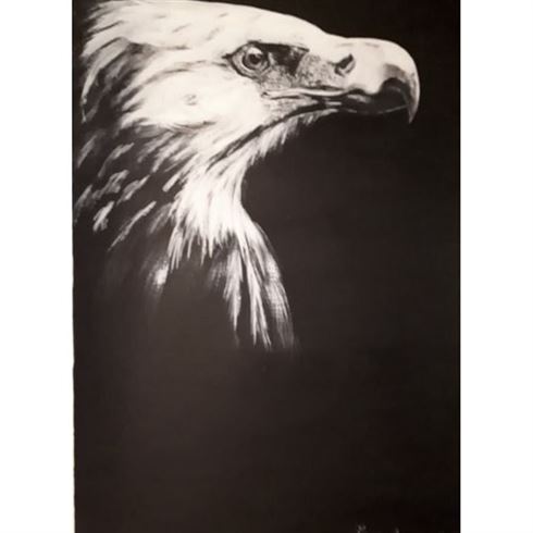 Rapace à tête blanche - Acrylique sur canson 32.5x50 par Marie-Ange Amatulli